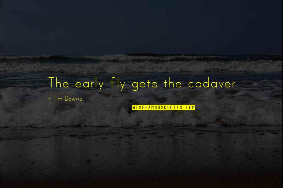 Insect Quotes By Tim Downs: The early fly gets the cadaver