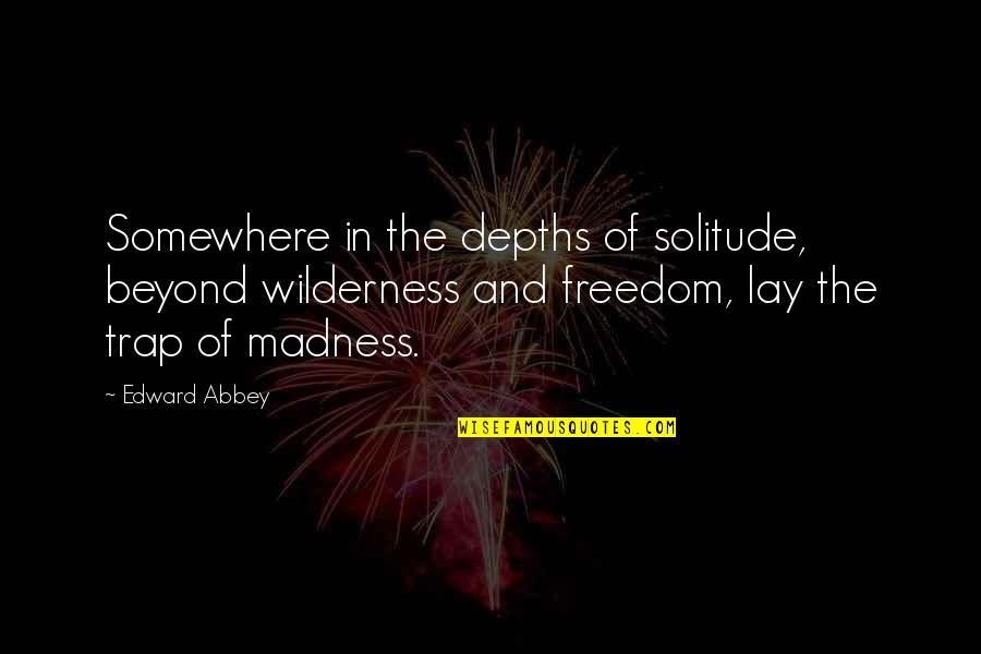 Insecticided Quotes By Edward Abbey: Somewhere in the depths of solitude, beyond wilderness