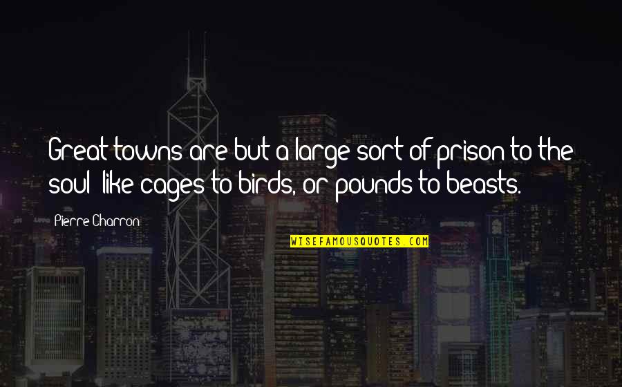 Inseguran A Quotes By Pierre Charron: Great towns are but a large sort of Inseguran A Quotes By Pierre Charron: Great towns are but a large sort of
