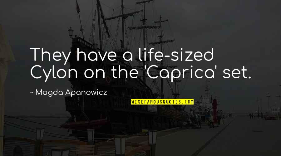 Insektenhotel Quotes By Magda Apanowicz: They have a life-sized Cylon on the 'Caprica'