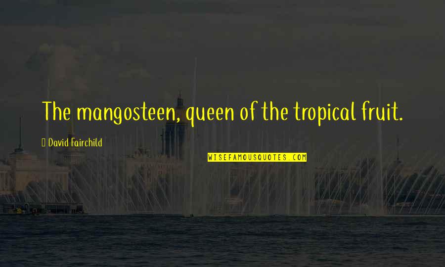 Insensatas Quotes By David Fairchild: The mangosteen, queen of the tropical fruit.