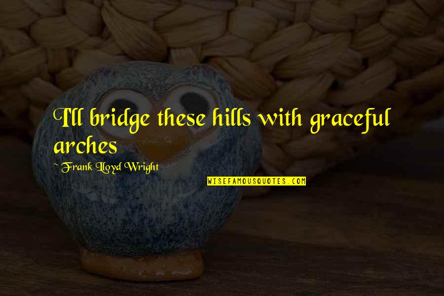 Insensate Burn Quotes By Frank Lloyd Wright: I'll bridge these hills with graceful arches Insensate Burn Quotes By Frank Lloyd Wright: I'll bridge these hills with graceful arches