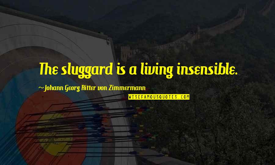 Insensible Quotes By Johann Georg Ritter Von Zimmermann: The sluggard is a living insensible.