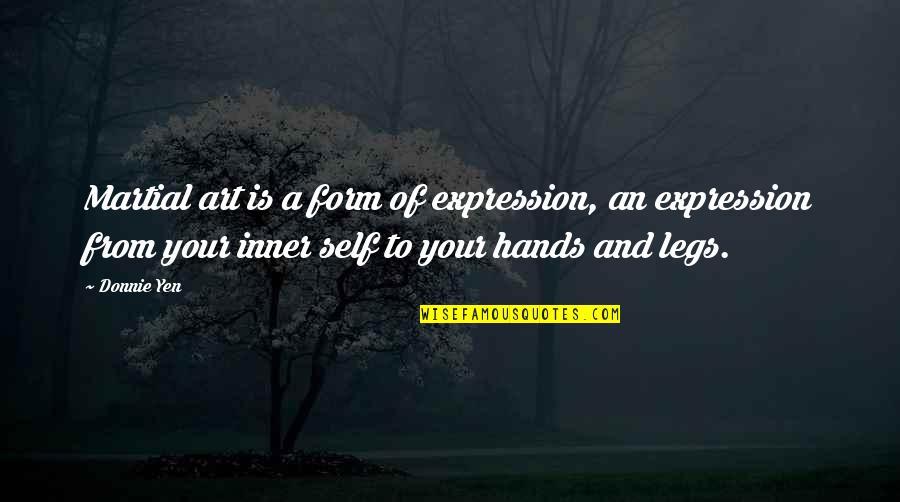 Insets Quotes By Donnie Yen: Martial art is a form of expression, an Insets Quotes By Donnie Yen: Martial art is a form of expression, an