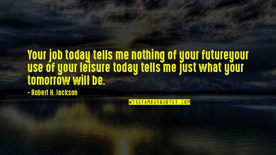 Insfran Formosa Quotes By Robert H. Jackson: Your job today tells me nothing of your