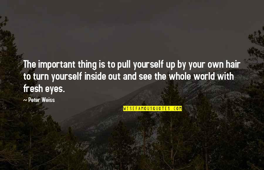 Inside Eye Quotes By Peter Weiss: The important thing is to pull yourself up Inside Eye Quotes By Peter Weiss: The important thing is to pull yourself up