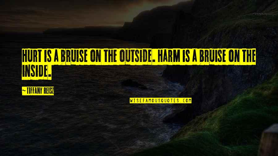 Inside Outside Quotes By Tiffany Reisz: Hurt is a bruise on the outside. Harm