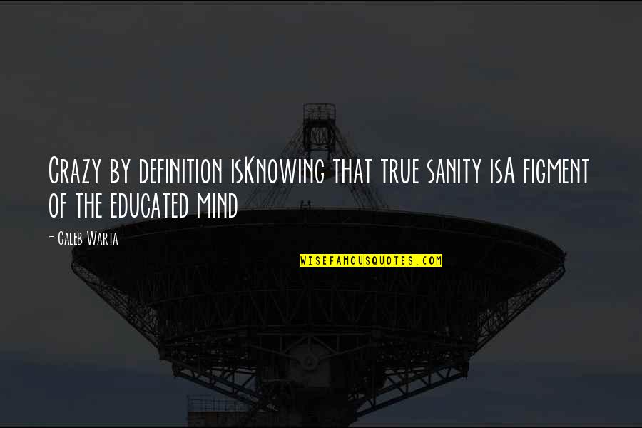 Inside The Mind Quotes By Caleb Warta: Crazy by definition isKnowing that true sanity isA