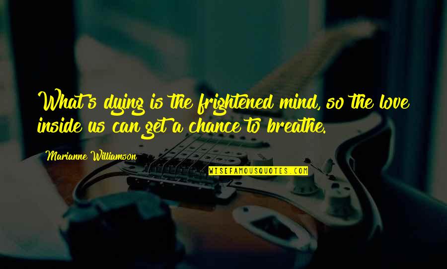 Inside The Mind Quotes By Marianne Williamson: What's dying is the frightened mind, so the