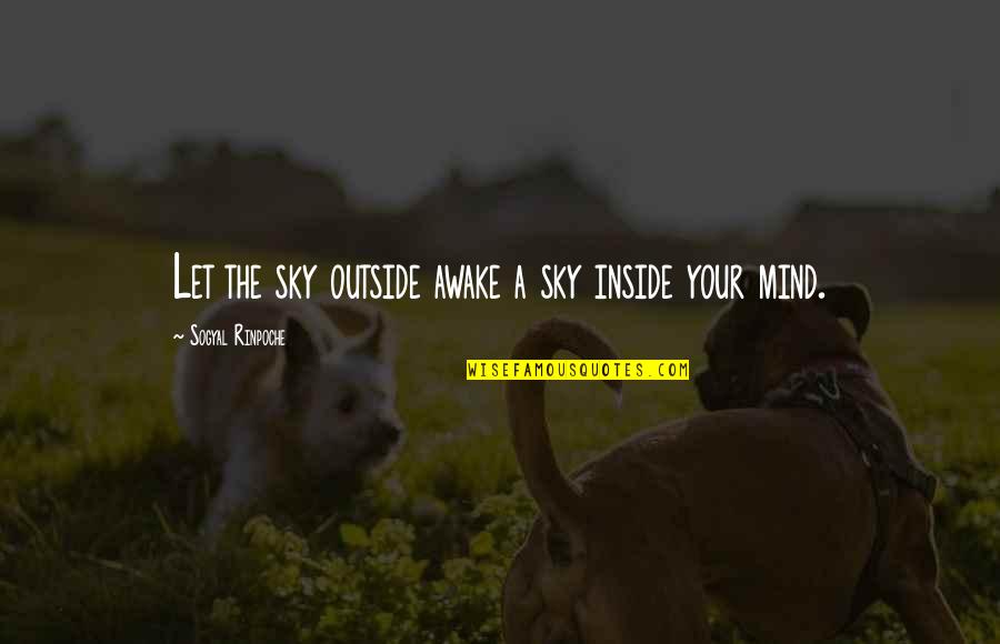 Inside The Mind Quotes By Sogyal Rinpoche: Let the sky outside awake a sky inside