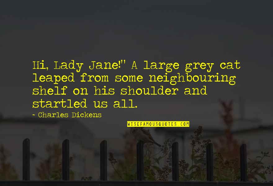 Insidiis Quotes By Charles Dickens: Hi, Lady Jane!" A large grey cat leaped