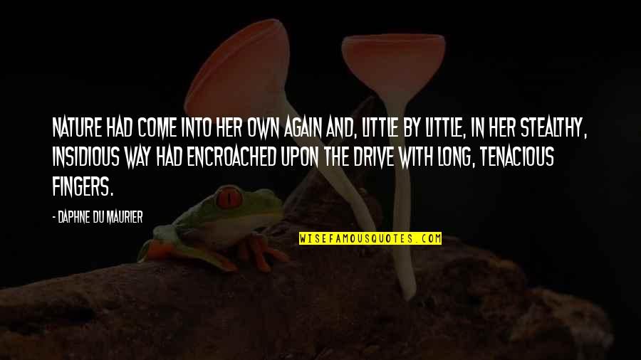 Insidious Quotes By Daphne Du Maurier: Nature had come into her own again and, Insidious Quotes By Daphne Du Maurier: Nature had come into her own again and,