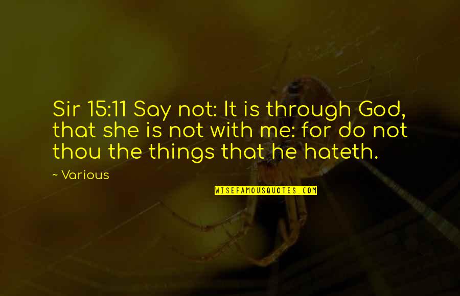 Insidiousness Means Quotes By Various: Sir 15:11 Say not: It is through God,