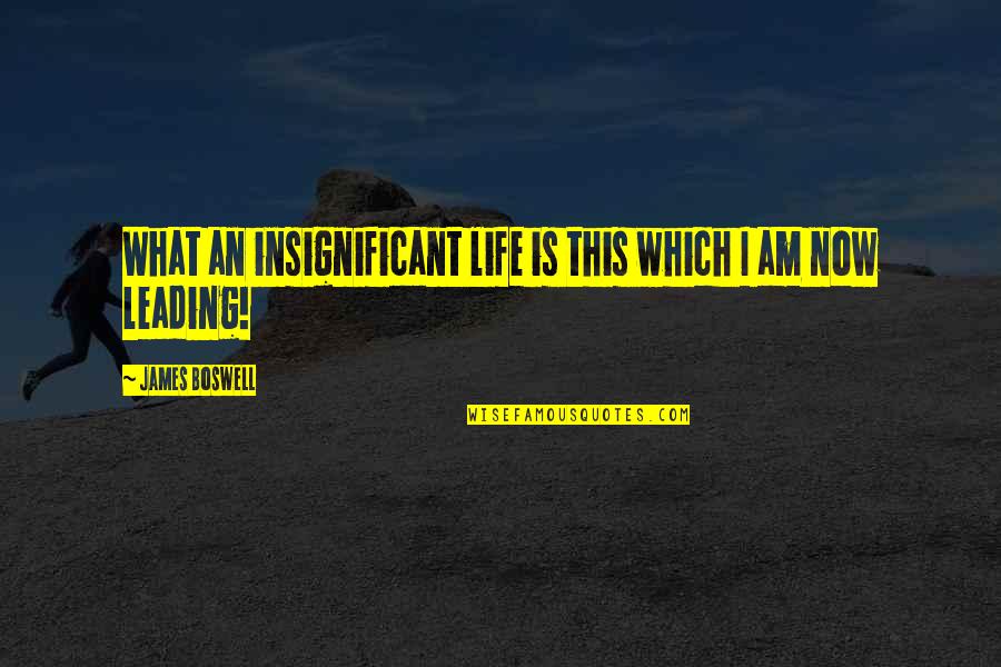 Insignificant Life Quotes By James Boswell: What an insignificant life is this which I