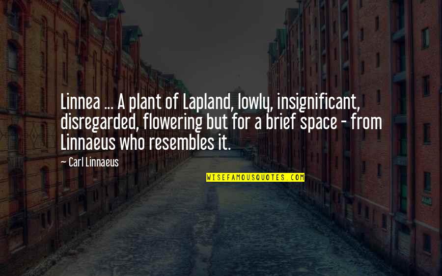 Insignificant Quotes By Carl Linnaeus: Linnea ... A plant of Lapland, lowly, insignificant,