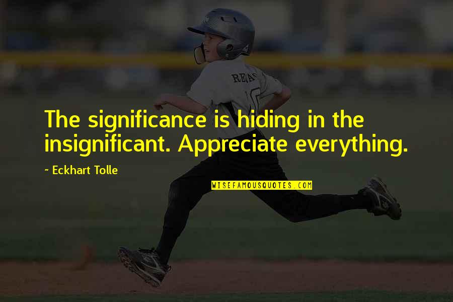 Insignificant Quotes By Eckhart Tolle: The significance is hiding in the insignificant. Appreciate