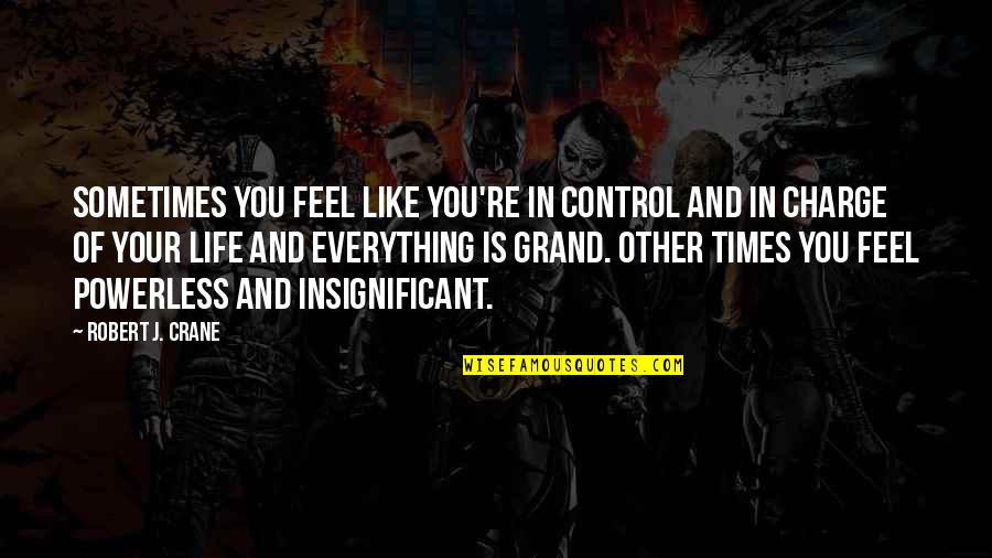 Insignificant Quotes By Robert J. Crane: Sometimes you feel like you're in control and Insignificant Quotes By Robert J. Crane: Sometimes you feel like you're in control and
