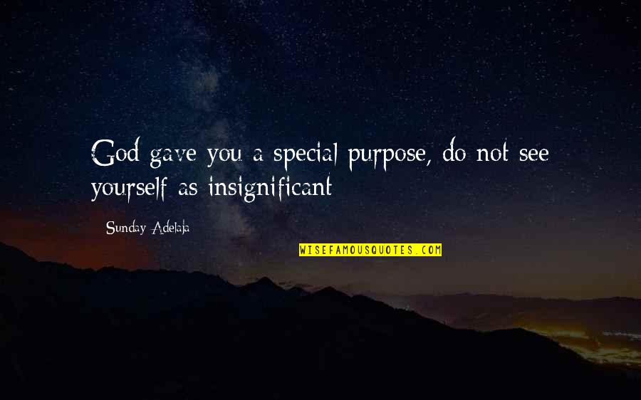 Insignificant Quotes By Sunday Adelaja: God gave you a special purpose, do not Insignificant Quotes By Sunday Adelaja: God gave you a special purpose, do not