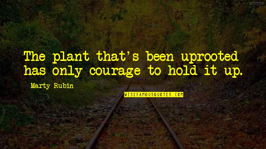 Insinuating Quotes By Marty Rubin: The plant that's been uprooted has only courage