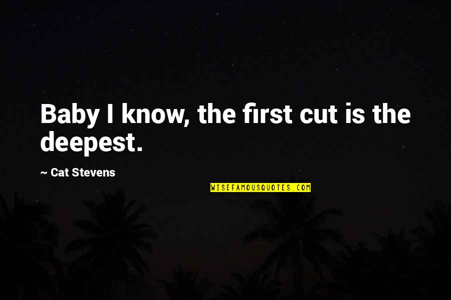 Insipidness Quotes By Cat Stevens: Baby I know, the first cut is the