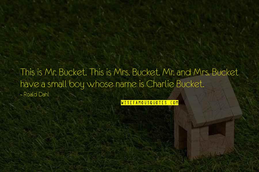 Insipientis Quotes By Roald Dahl: This is Mr. Bucket. This is Mrs. Bucket.