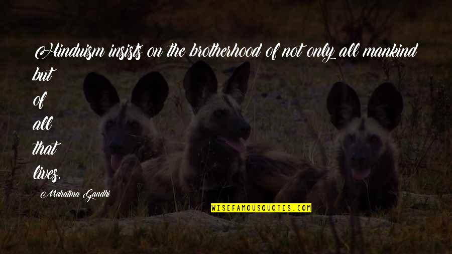Insists Quotes By Mahatma Gandhi: Hinduism insists on the brotherhood of not only