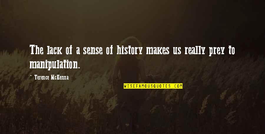 Insisture Quotes By Terence McKenna: The lack of a sense of history makes