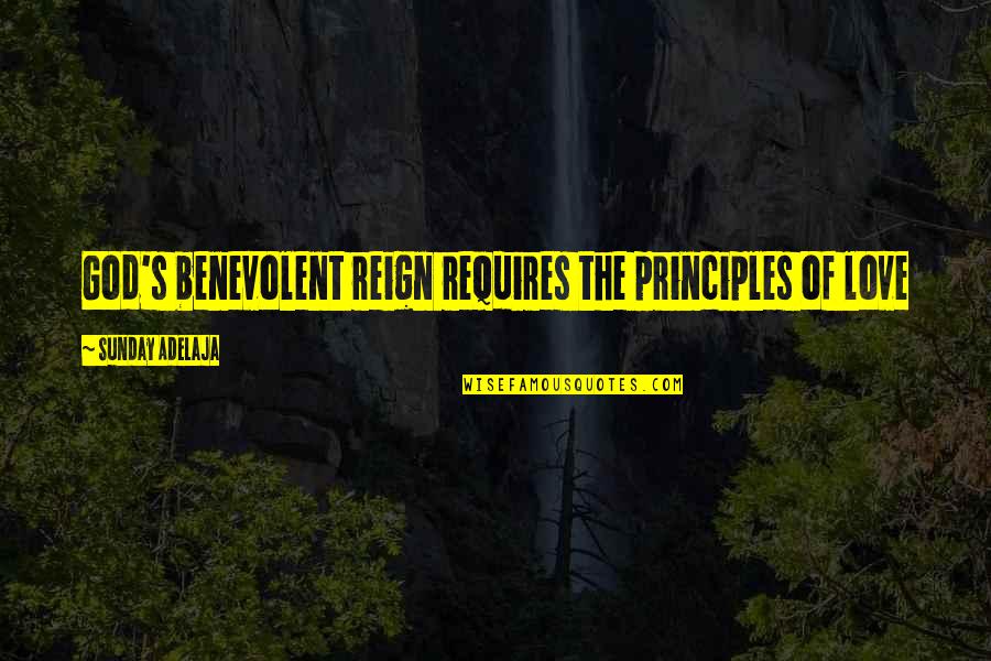 Insitam Quotes By Sunday Adelaja: God's benevolent reign requires the principles of love