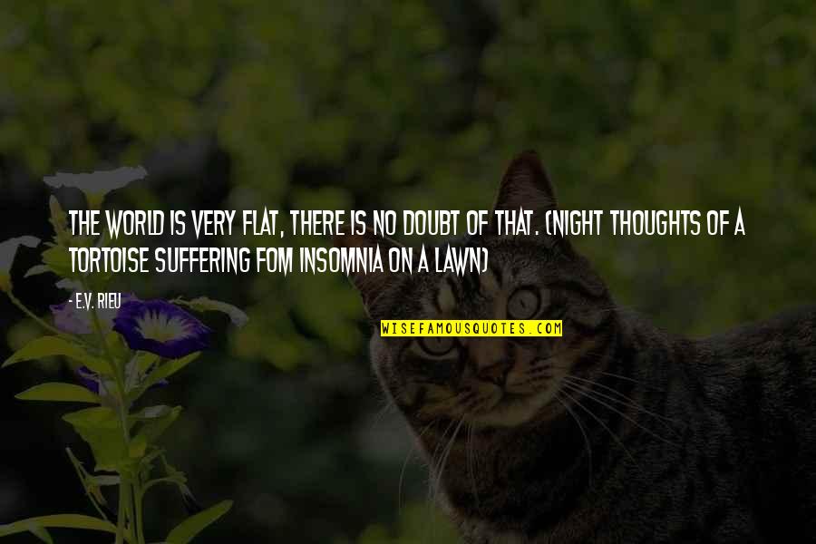 Insomnia Quotes By E.V. Rieu: The World is Very Flat, There is no