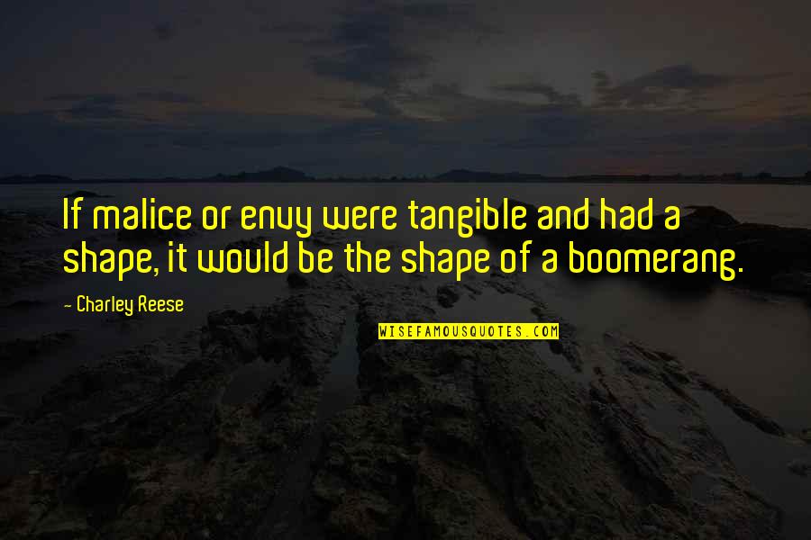 Insparational Quotes By Charley Reese: If malice or envy were tangible and had Insparational Quotes By Charley Reese: If malice or envy were tangible and had