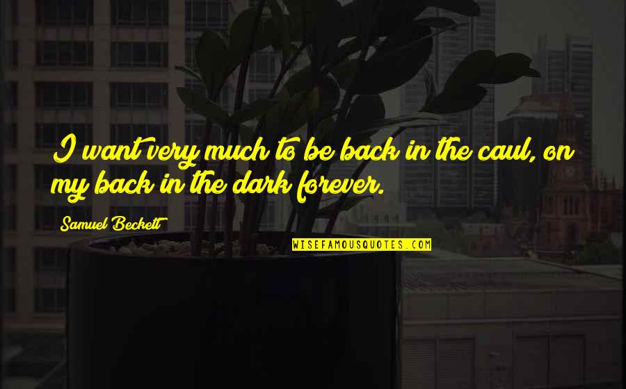 Inspection And Maintenance Quotes By Samuel Beckett: I want very much to be back in