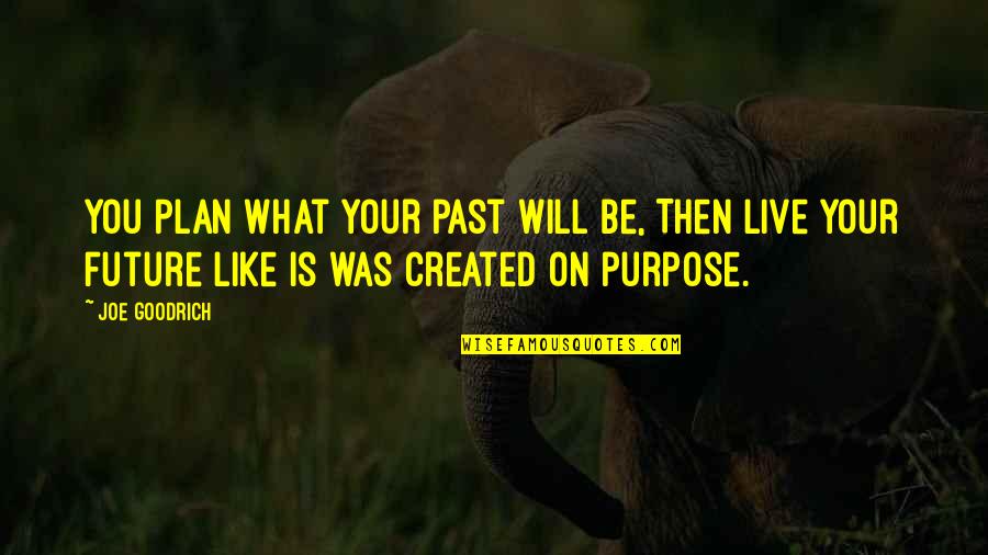 Insperational Quotes By Joe Goodrich: You Plan what your past will be, Then
