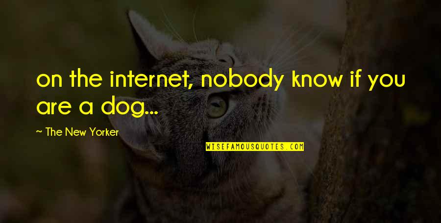 Inspiralizer Quotes By The New Yorker: on the internet, nobody know if you are