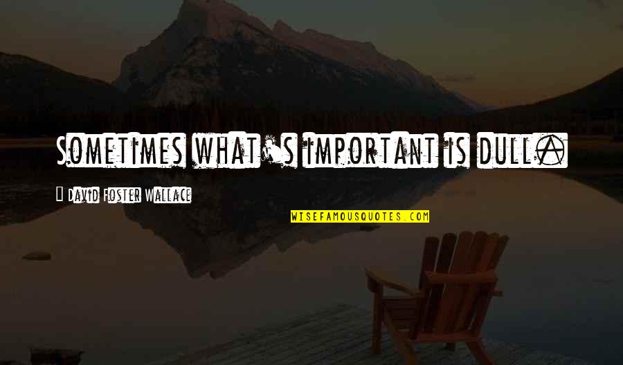 Inspirare Colombia Quotes By David Foster Wallace: Sometimes what's important is dull.