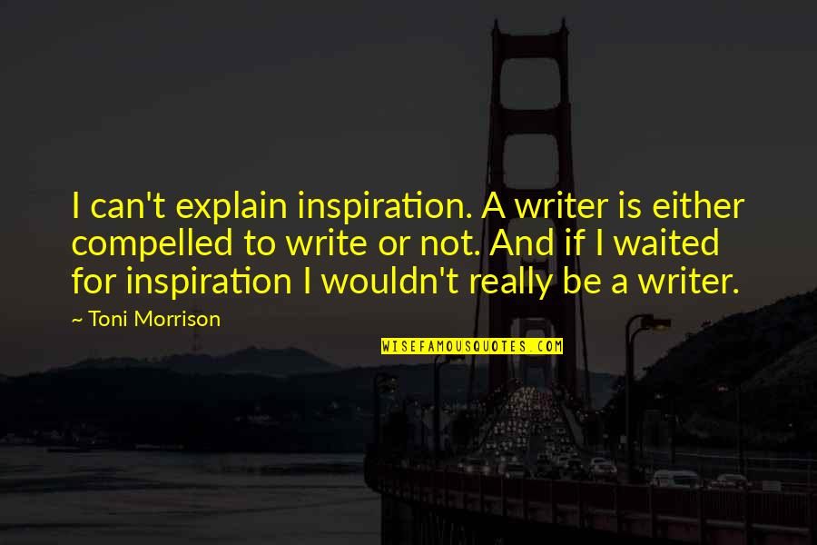 Inspiration And Writing Quotes By Toni Morrison: I can't explain inspiration. A writer is either
