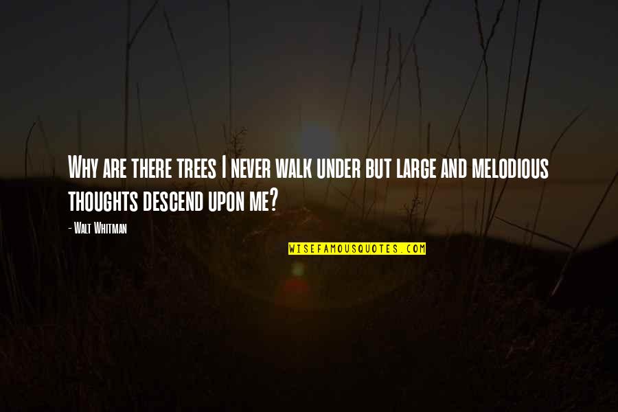 Inspiration Nature Quotes By Walt Whitman: Why are there trees I never walk under