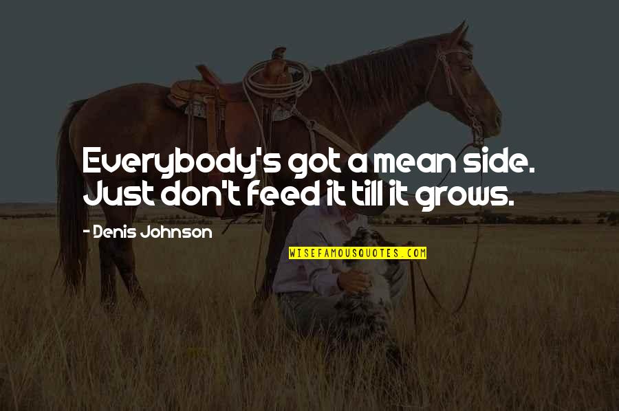 Inspiration Sticky Quotes By Denis Johnson: Everybody's got a mean side. Just don't feed