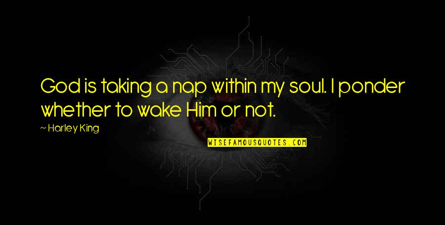 Inspirational Acquaintance Party Quotes By Harley King: God is taking a nap within my soul.