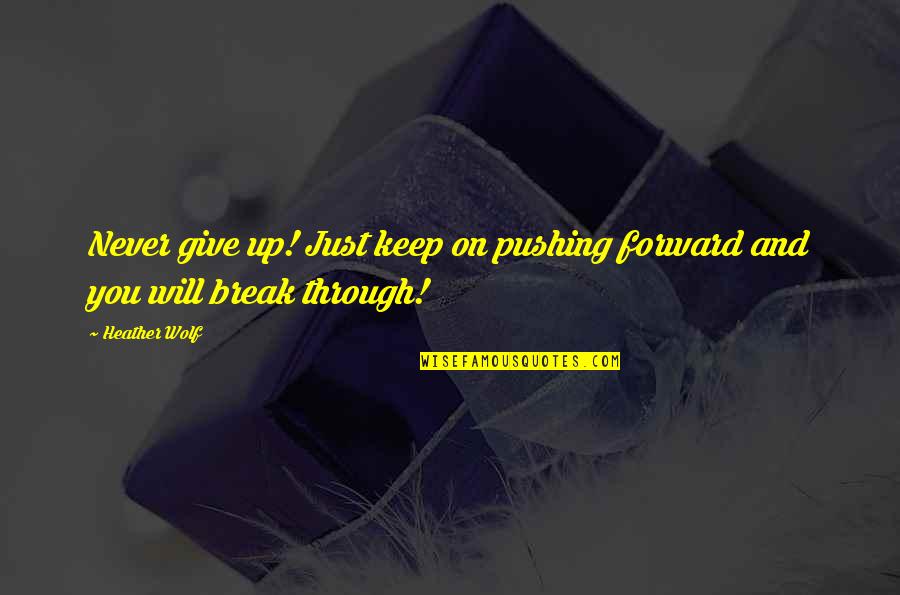Inspirational Adventure Quotes By Heather Wolf: Never give up! Just keep on pushing forward