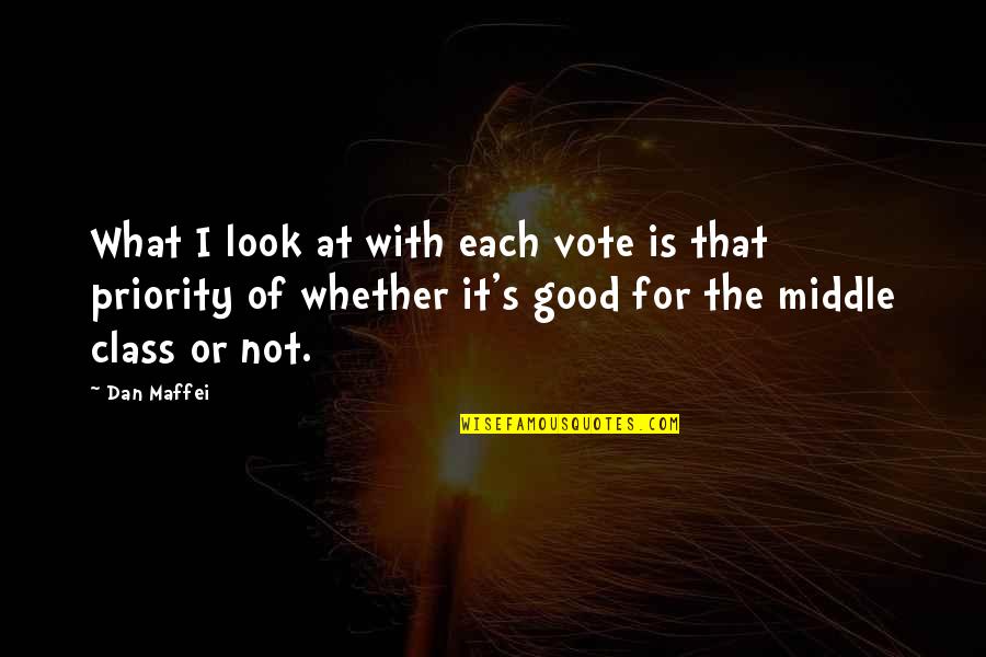 Inspirational Allan Kardec Quotes By Dan Maffei: What I look at with each vote is