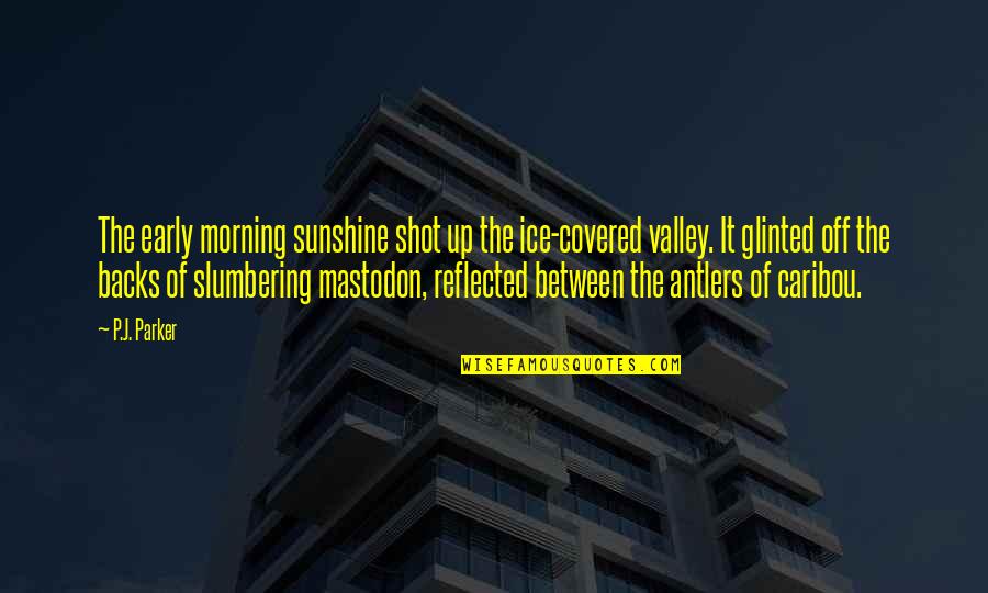 Inspirational American Quotes By P.J. Parker: The early morning sunshine shot up the ice-covered
