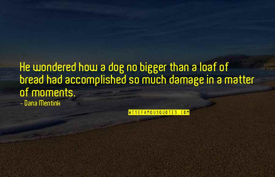 Inspirational Bread Quotes By Dana Mentink: He wondered how a dog no bigger than