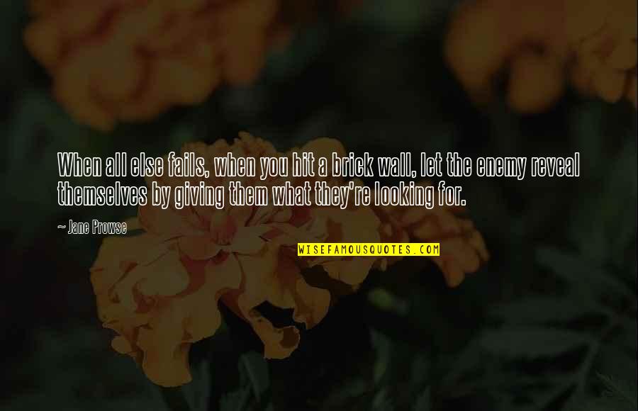 Inspirational Brick Quotes By Jane Prowse: When all else fails, when you hit a