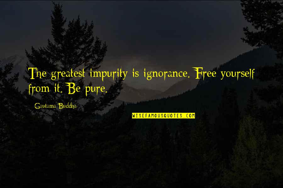 Inspirational Buddhist Quotes By Gautama Buddha: The greatest impurity is ignorance. Free yourself from
