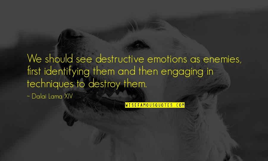 Inspirational Cat Quote Quotes By Dalai Lama XIV: We should see destructive emotions as enemies, first Inspirational Cat Quote Quotes By Dalai Lama XIV: We should see destructive emotions as enemies, first