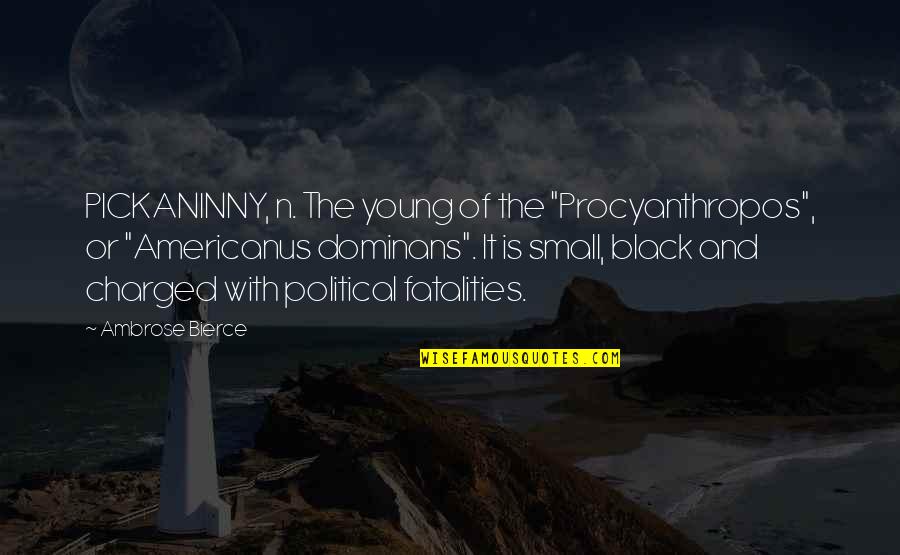 Inspirational Cheer Quotes By Ambrose Bierce: PICKANINNY, n. The young of the "Procyanthropos", or