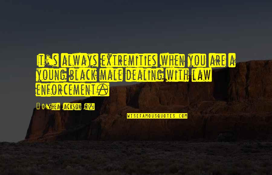 Inspirational Cheer Quotes By O'Shea Jackson Jr.: It's always extremities when you are a young Inspirational Cheer Quotes By O'Shea Jackson Jr.: It's always extremities when you are a young