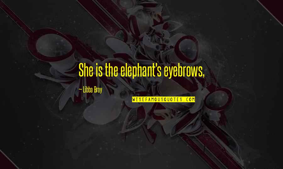 Inspirational Cheerful Quotes By Libba Bray: She is the elephant's eyebrows, Inspirational Cheerful Quotes By Libba Bray: She is the elephant's eyebrows,