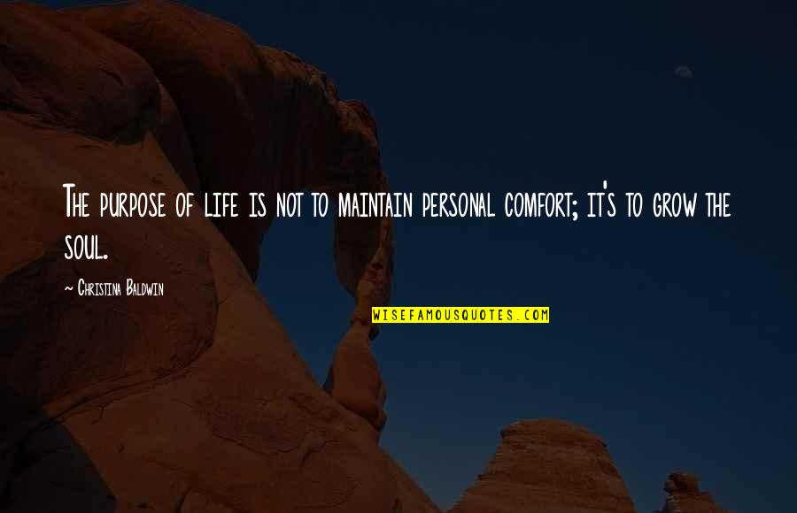 Inspirational Comfort Quotes By Christina Baldwin: The purpose of life is not to maintain