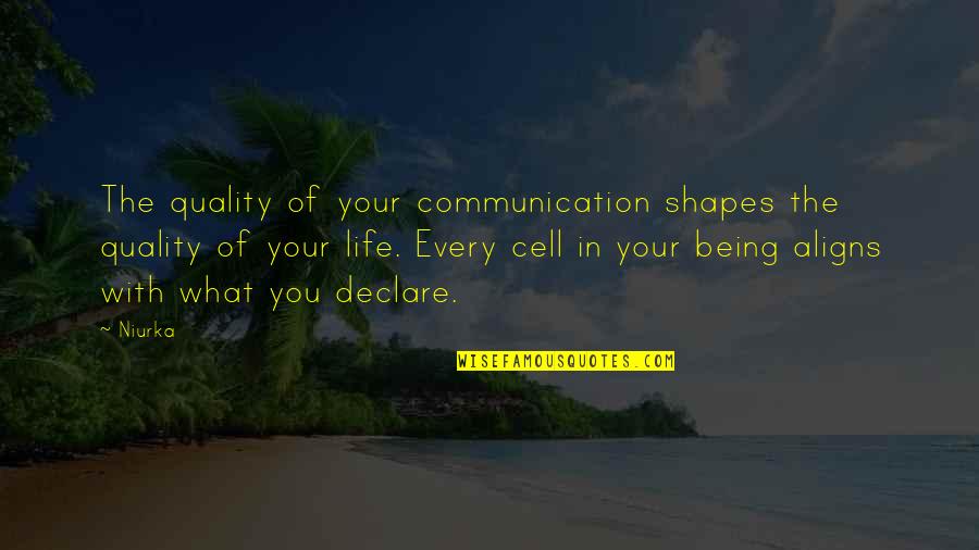 Inspirational Communication Quotes By Niurka: The quality of your communication shapes the quality